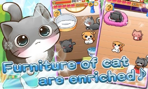 猫的生活游戏(catlife)下载,猫的生活,猫咪游戏,养成游戏