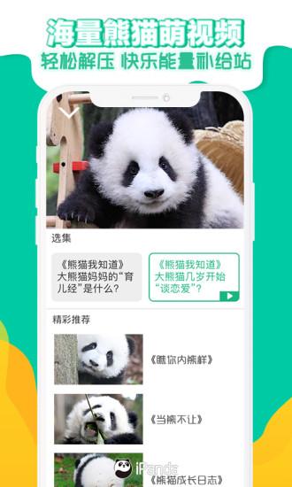 熊猫频道APP下载,熊猫频道,熊猫app,直播app